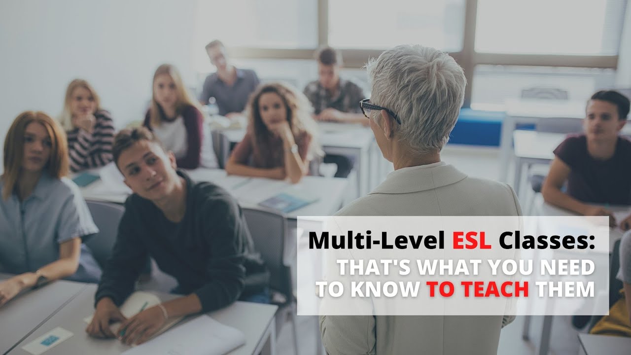 All You Need to Know When Teaching Multi-Level ESL Classes | ITTT | TEFL Blog