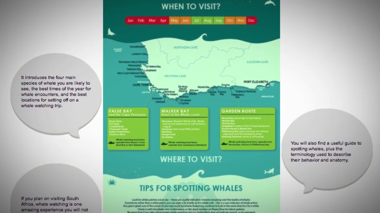 Where can I do Whale-watching in South Africa?