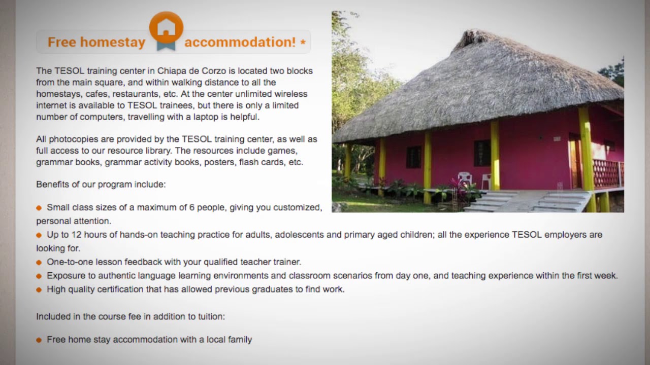 Welcome to Our TESOL School in Chiapas, Mexico | Teach & Live abroad!