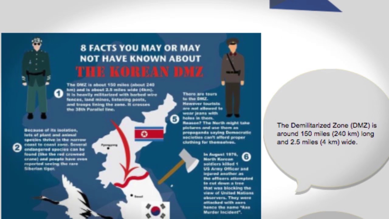 What are some facts about the DMZ border between North and South Korea?
